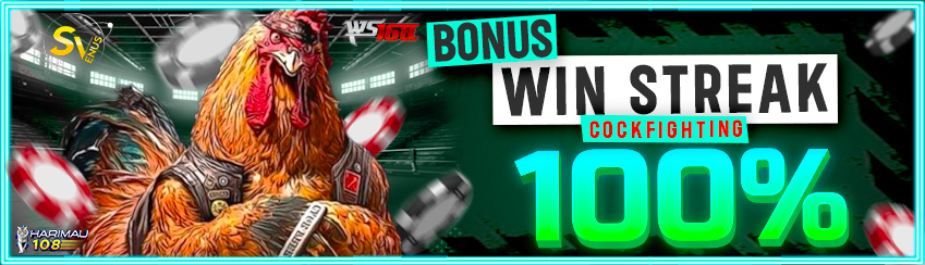 Event Win Streak Sabung Ayam